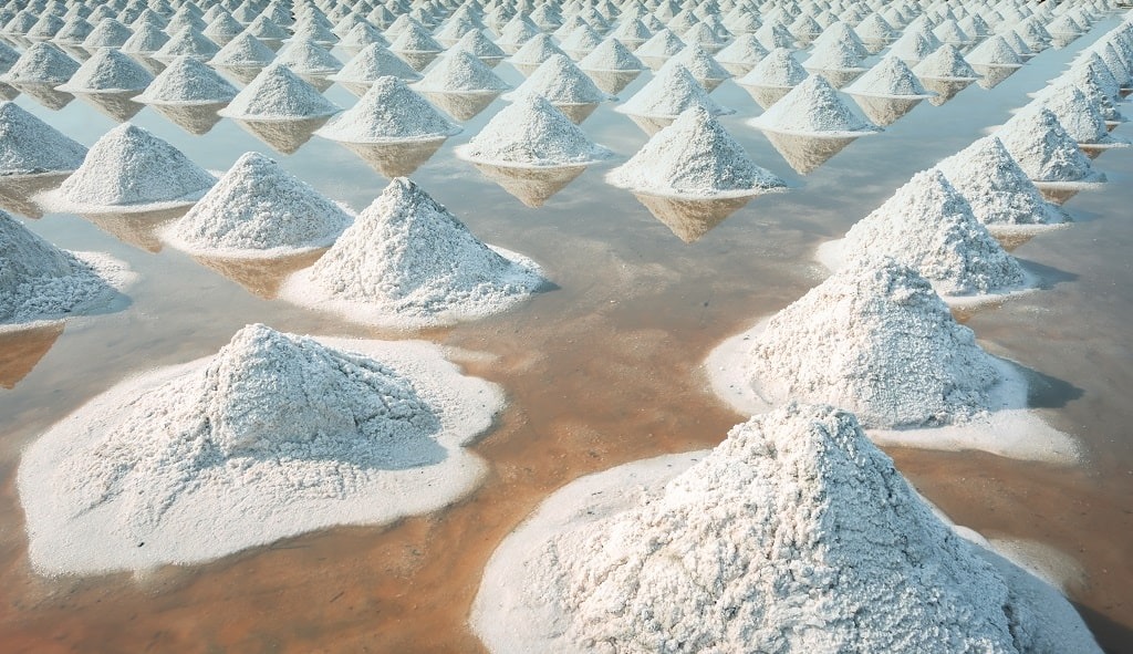 Goyal Salt to Invest ₹80 Crore in Salt Production Facility in Gandhidham