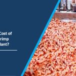 Shrimp Processing Plant Setup