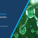 How to Start a Green Ammonia Production Plant