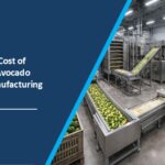 Avocado Powder Manufacturing Plant