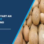 Areca Nut Processing Plant