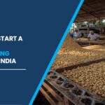 Cashew Processing Plant