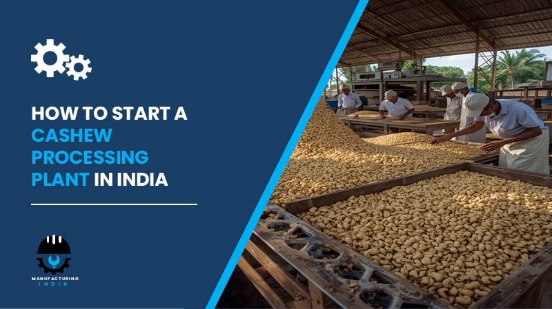 Cashew Processing Plant