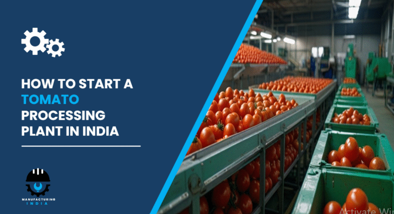 Tomato Processing Plant in India