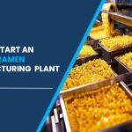 instant ramen manufacturing plant in India