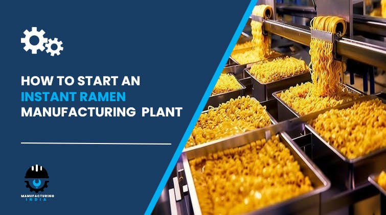 instant ramen manufacturing plant in India