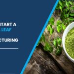 Moringa Leaf Powder Manufacturing Plant Cost 2026