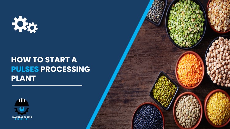 pulses processing plant in India