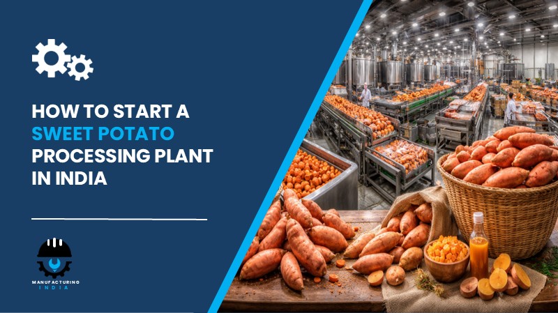 Sweet Potato Processing Plant in India