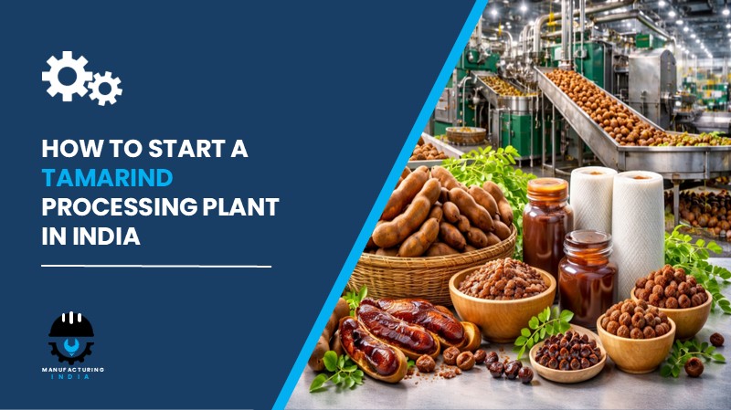 Tamarind Processing Plant in India