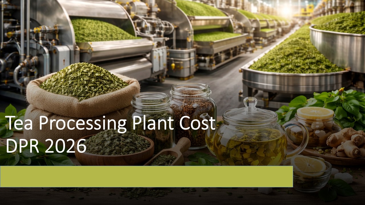 Tea Processing Plant in India