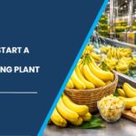Banana Processing Plant in India