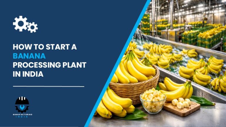 Banana Processing Plant in India