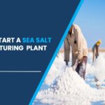 sea salt manufacturing plant in India