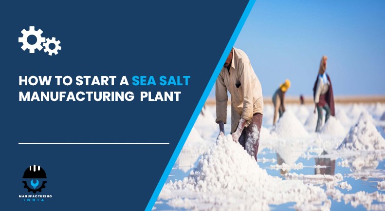 sea salt manufacturing plant in India