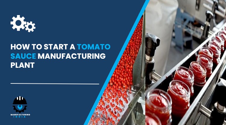 tomato sauce manufacturing plant in India