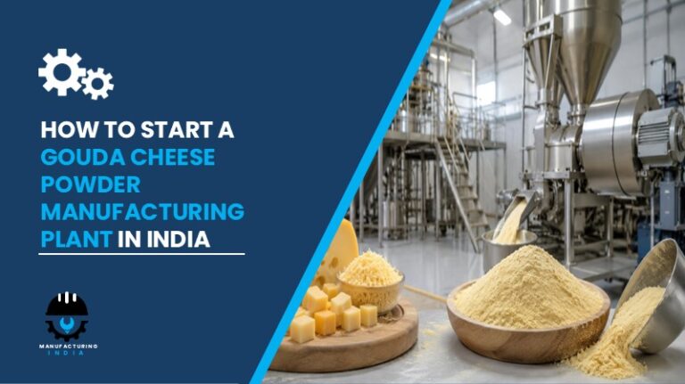 Gouda Cheese Powder Manufacturing Plant Setup