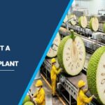 breadfruit processing plant in India