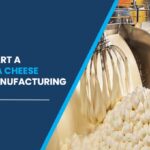 mozzarella cheese powder manufacturing plant in India
