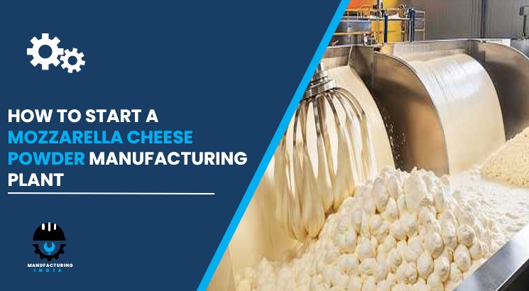 mozzarella cheese powder manufacturing plant in India