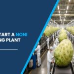 noni processing plant in India