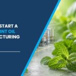 peppermint oil manufacturing plant