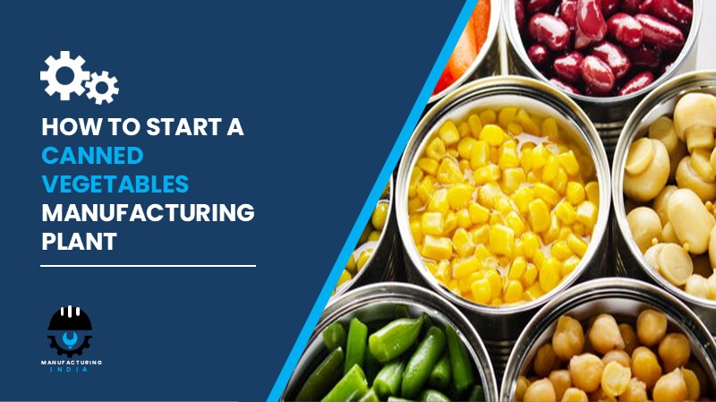 Canned Vegetables Manufacturing Plant