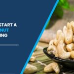 Cashew Nut Processing Plant