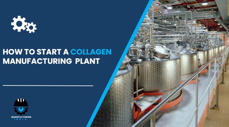collagen manufacturing plant in India
