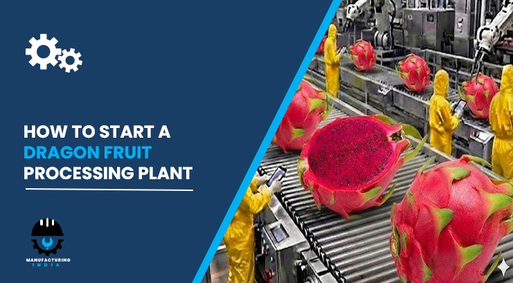 dragon fruit processing plant in India
