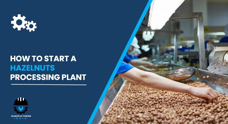 hazelnuts processing plant in India