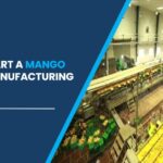 mango powder manufacturing plant in India