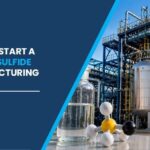 methyl sulfide manufacturing plant cost