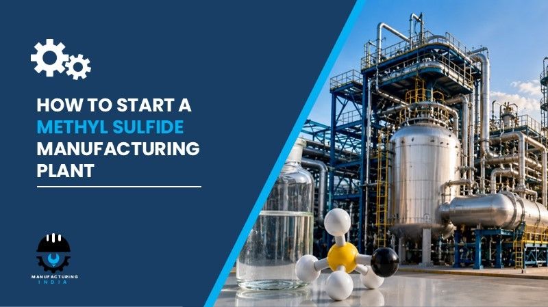 methyl sulfide manufacturing plant cost