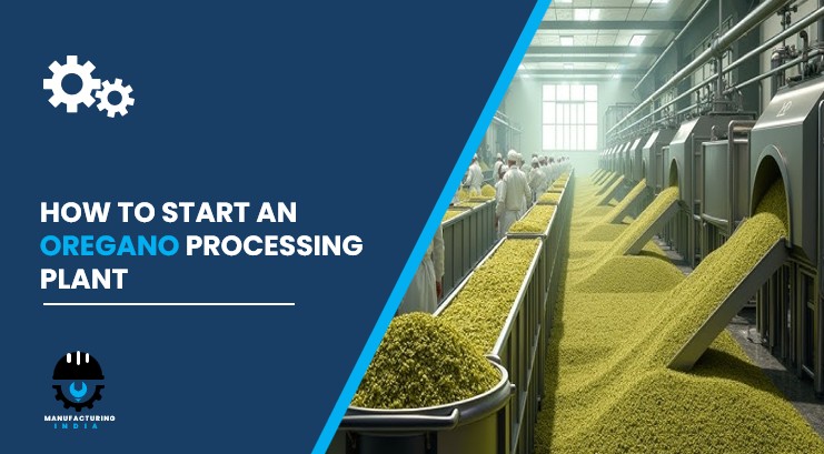 oregano processing plant in India