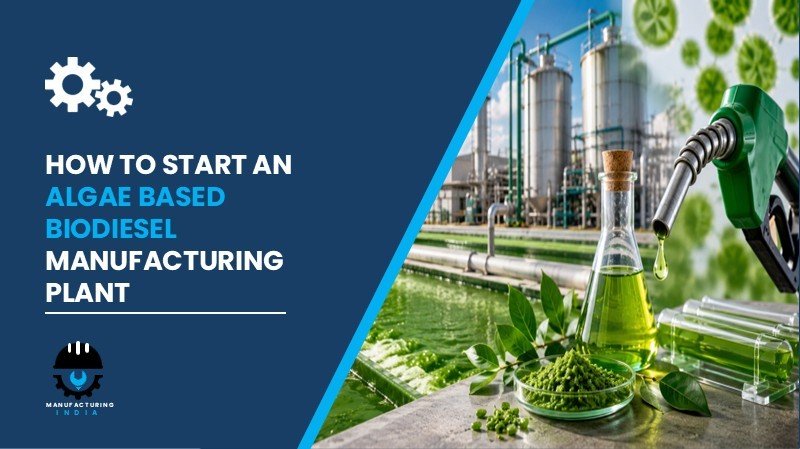 algae based biodiesel manufacturing plant