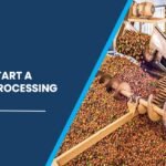 walnut processing plant in India