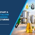 buffalo tallow based biodiesel manufacturing plant