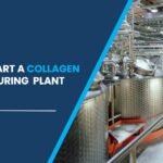 collagen manufacturing plant setup cost in india