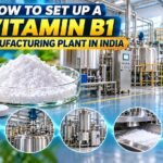 Vitamin B1 Manufacturing Plant Setup