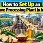 Agave Processing Plant Setup
