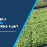 microgreens plant setup cost in india