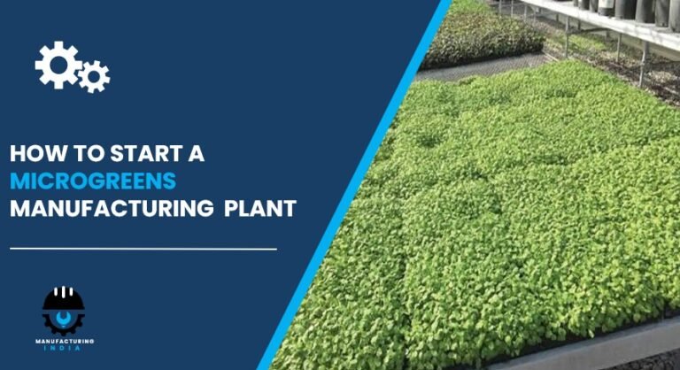microgreens plant setup cost in india