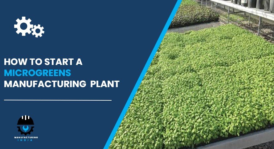 microgreens plant setup cost in india