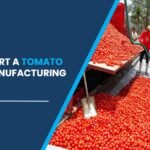 tomato powder manufacturing plant in India