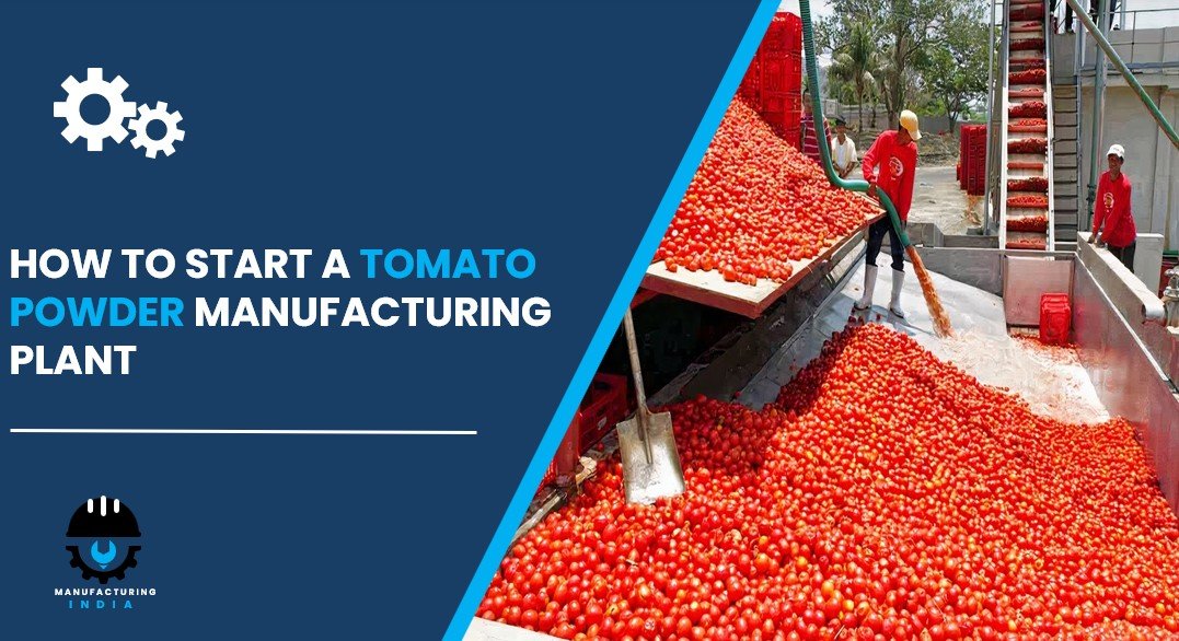 tomato powder manufacturing plant in India