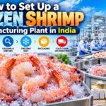 Frozen Shrimp Manufacturing Plant Setup