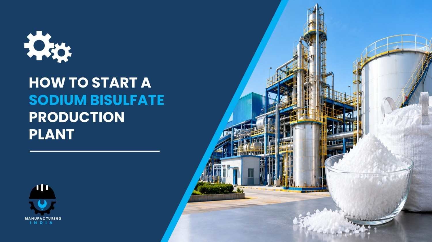 sodium bisulfate production plant-100kb
